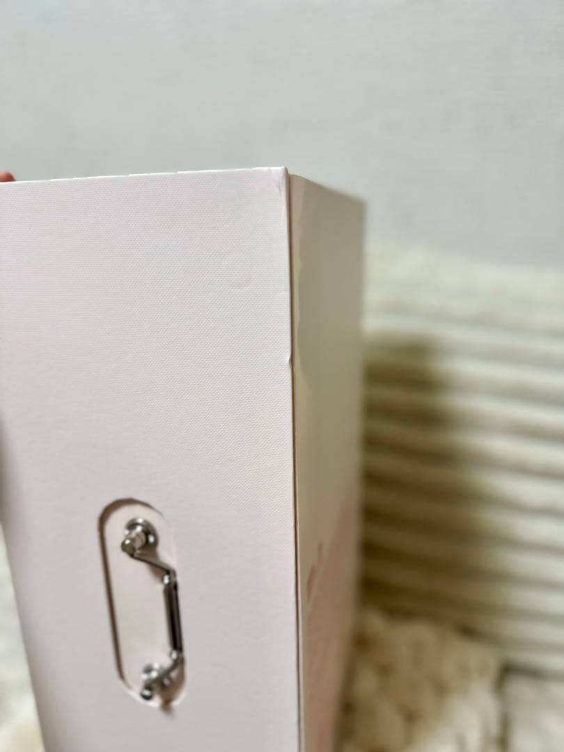 LABUBU バレンタイン限定スペシャルバージョンTHE MONSTERS