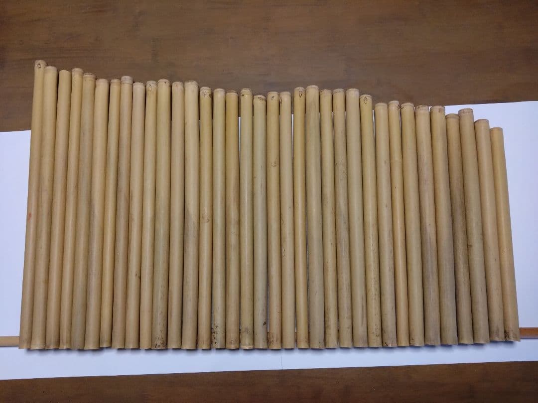 女竹　35本セット