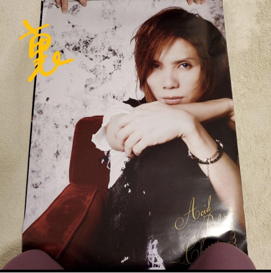 Acid Black Cherry FREE LIVE 2011 両面ポスター