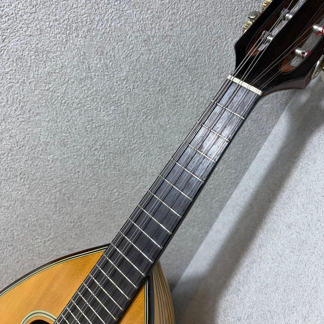 【極美品】SUZUKI マンドリン　M-30 ハードケース　スズキ