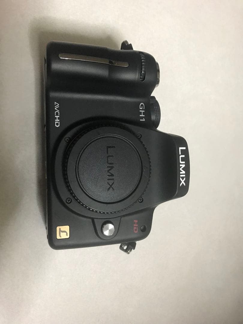 ルミックス LUMIX GH1 パナソニック ミラーレス一眼