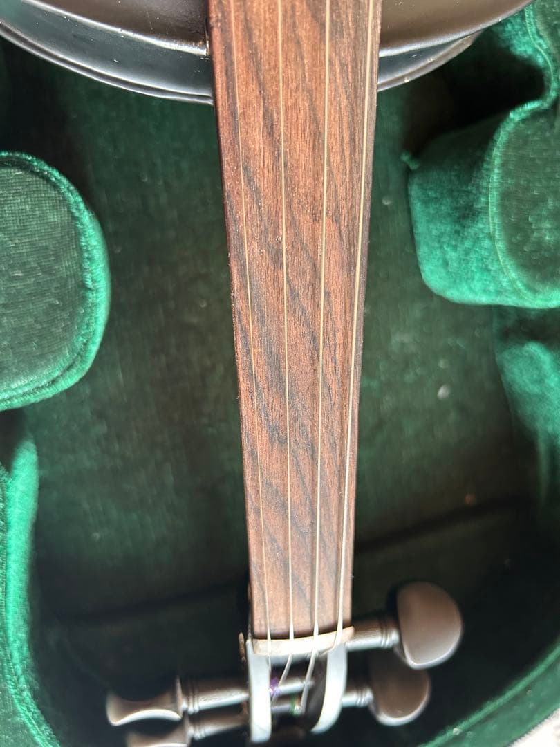 美品 Hallstatt ハルシュタット エレキバイオリンCV-210Eブラック