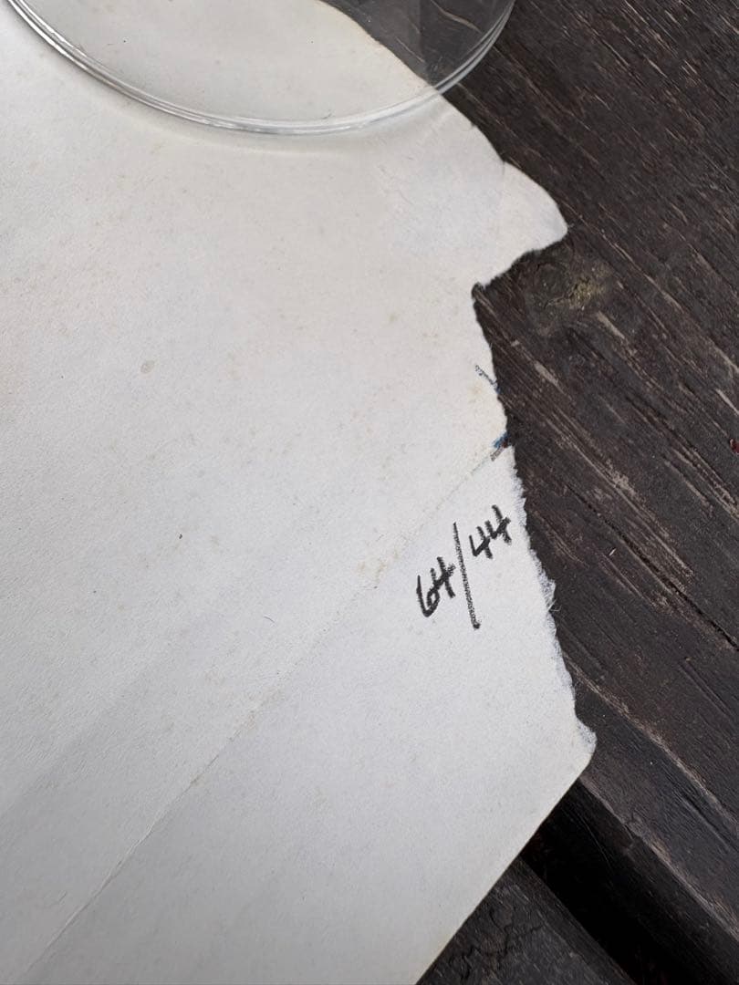 Surf Party 映画ポスター 1964