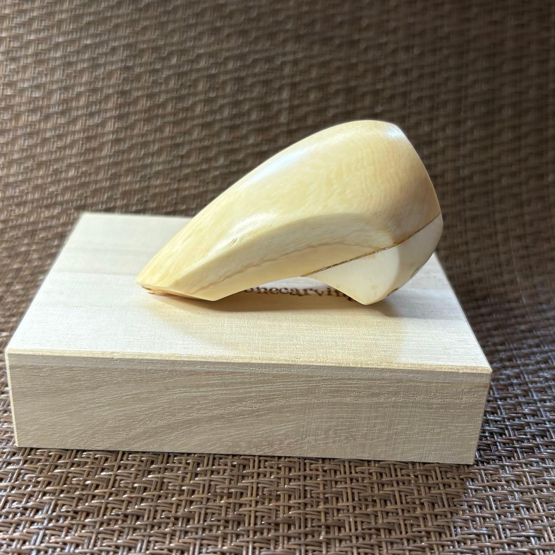 沖縄三線バチ、マッコウ&マンモスのコンビモデル