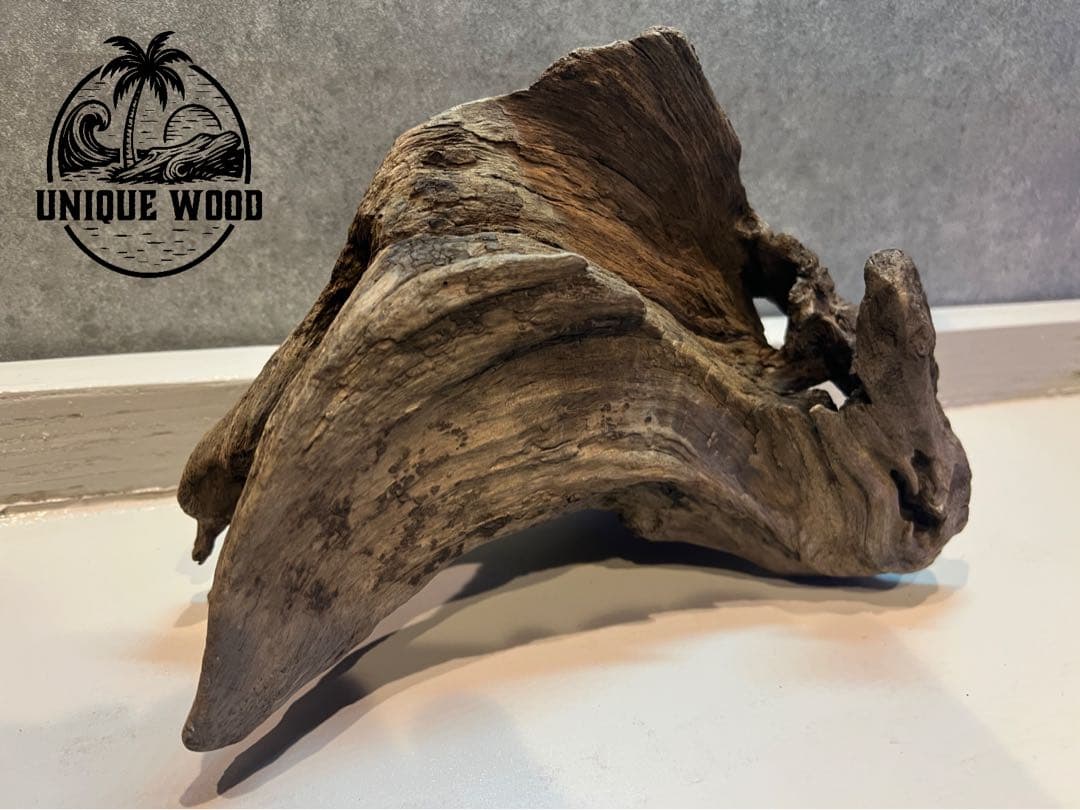 【コエポン】12点まとめ買い