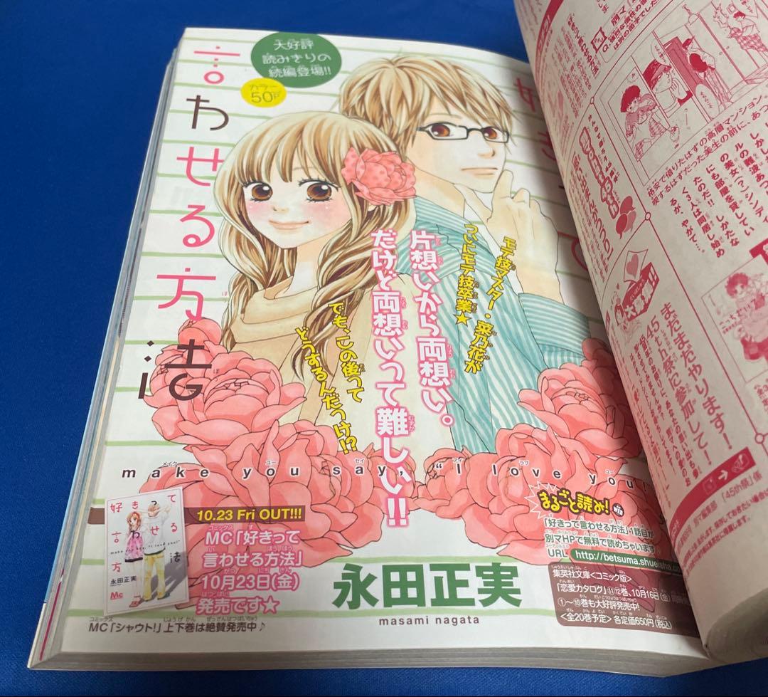 別冊マーガレット2009年11月号
