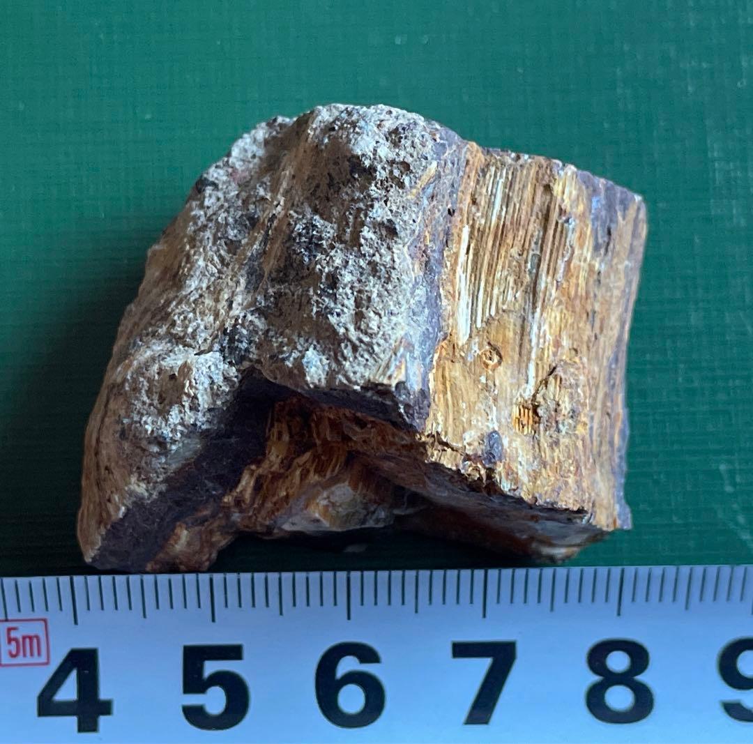 珪化木 花巻市 木目クッキリ❗️ 貴重‼️