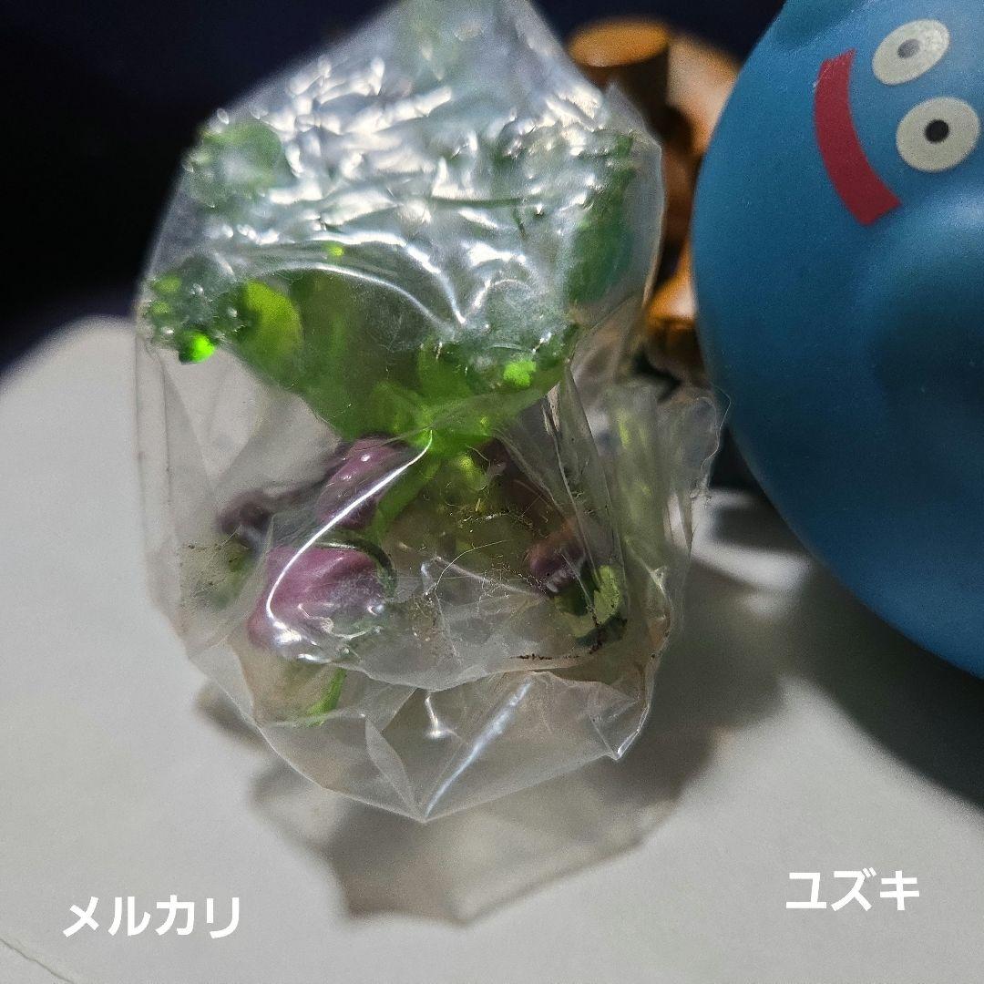 【未開封】ドラゴンクエストクリスタルモンスターズやまたのおろち④