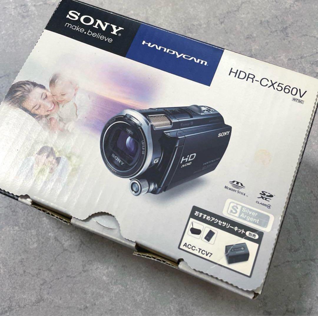 SONY ビデオカメラ HDR-CX560V ハンディカム カメラ バッテリー