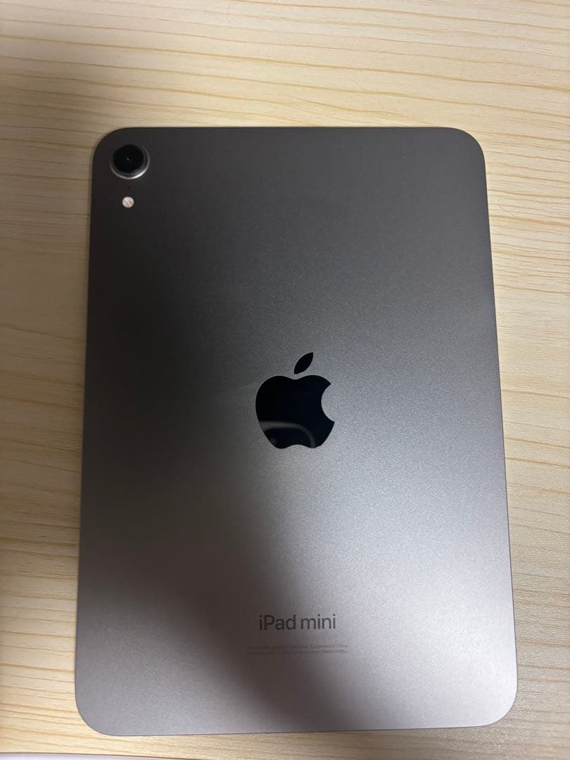 リーヌ　iPad mini スペースグレー 本体　128g