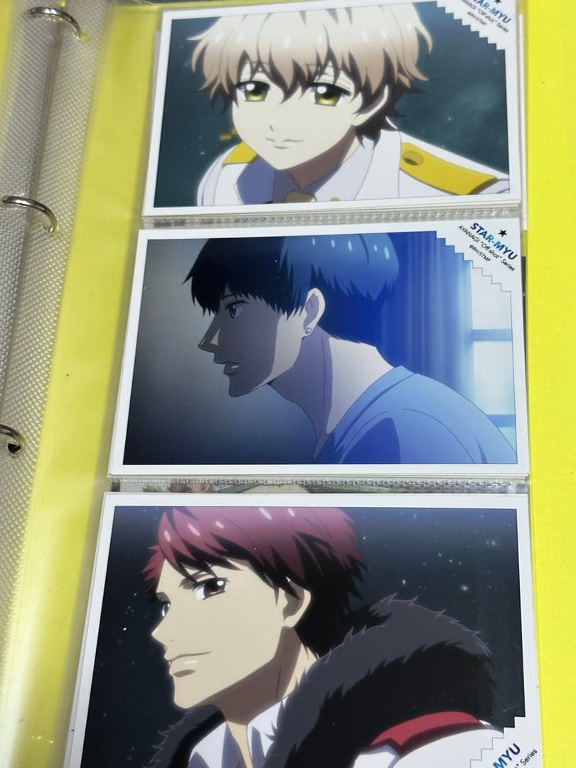 アニメイトガールズフェスティバル スタミュ 2016 ブロマイド バインダー付き