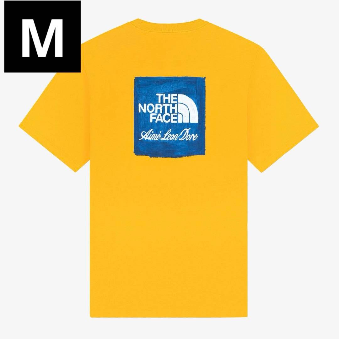 エメレオンドレ　ノースフェイス　Tシャツ　　Mサイズ　黄色