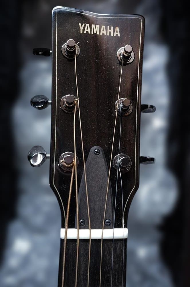 ギター YAMAHA FS9 ROSE