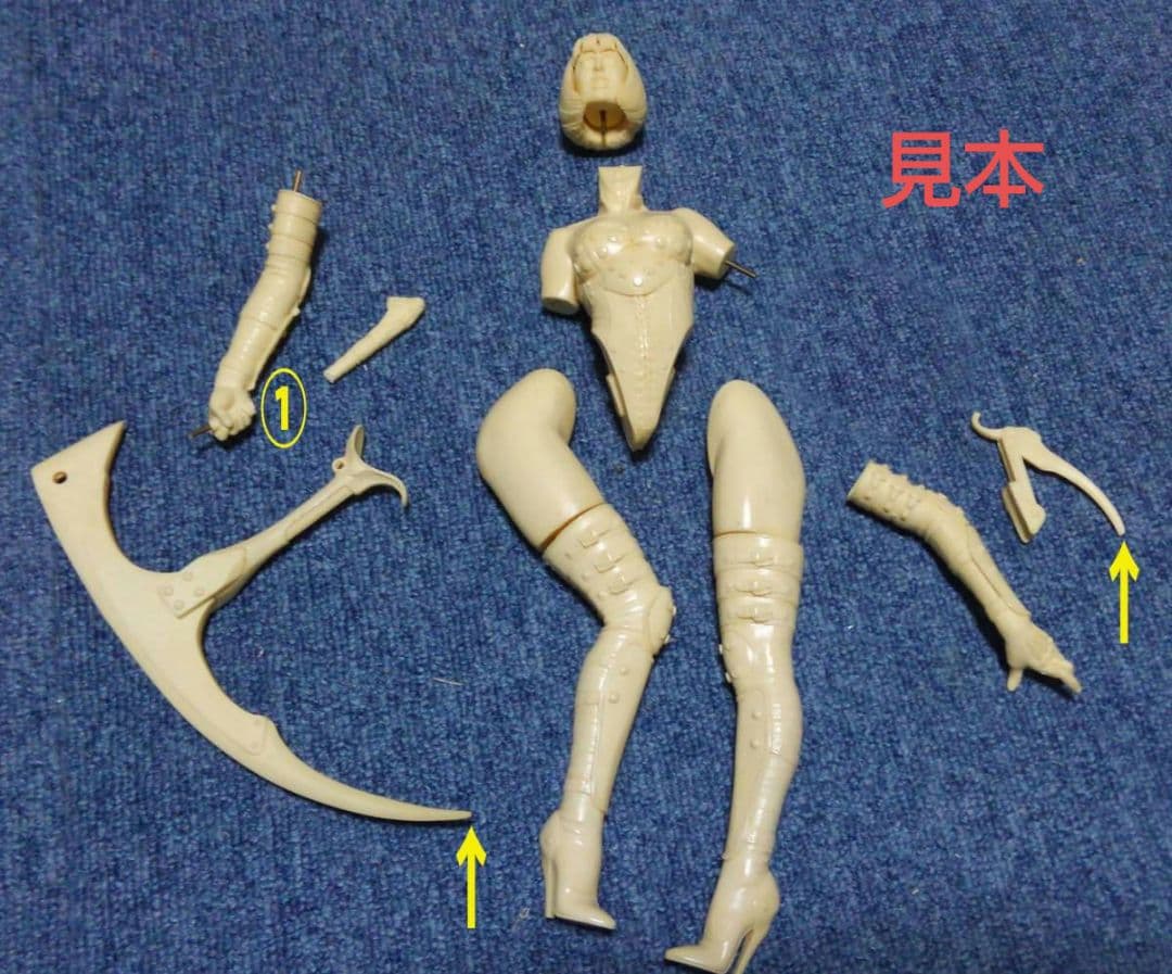 フューチャーモデルズ ギロチーナ