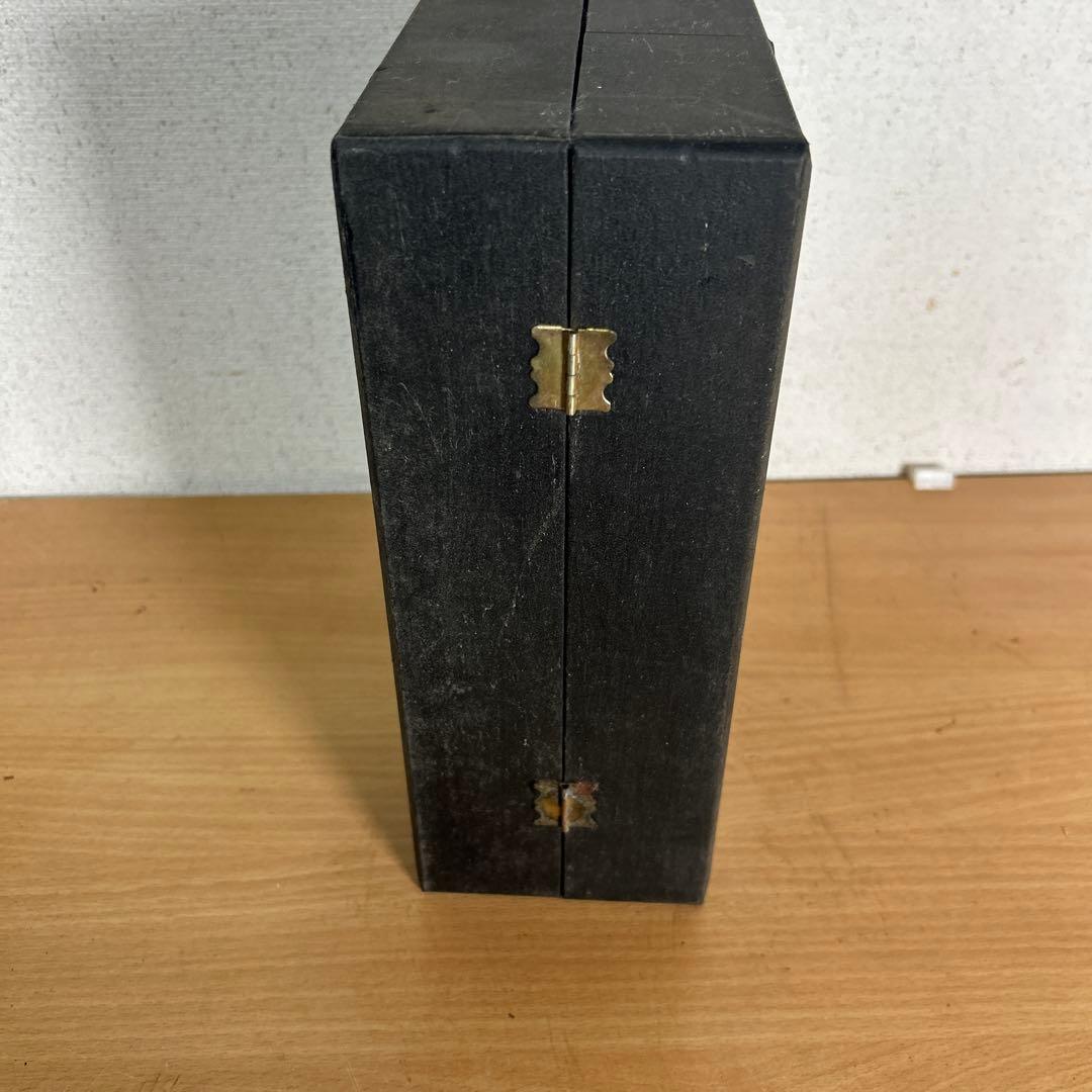 超レア　鼻腔系模型