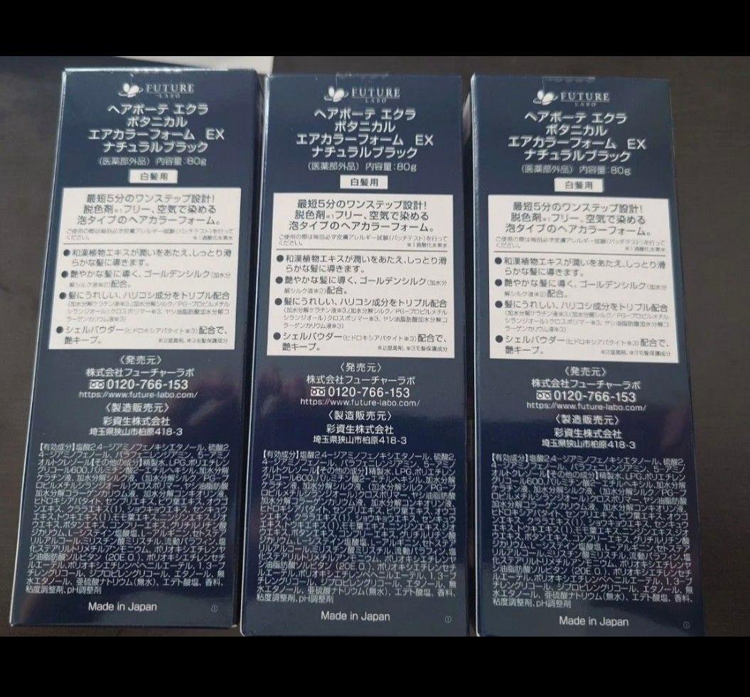 ÉCLAT ボタニカルエアカラーフォーム ナチュラルブラック 80gx3本セット