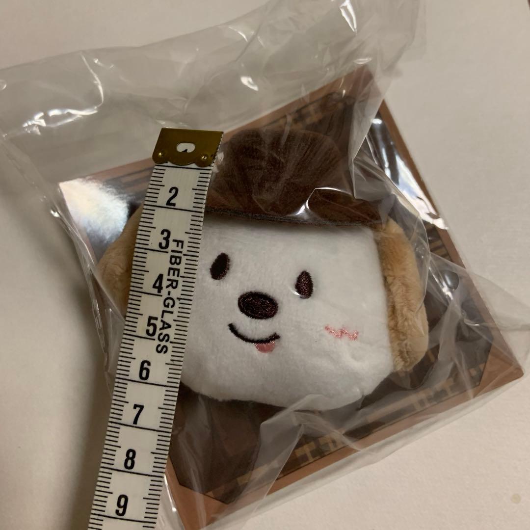 アントン【未使用・未開封・匿名配送】ぬいぐるみバッジ、モンリョンイ