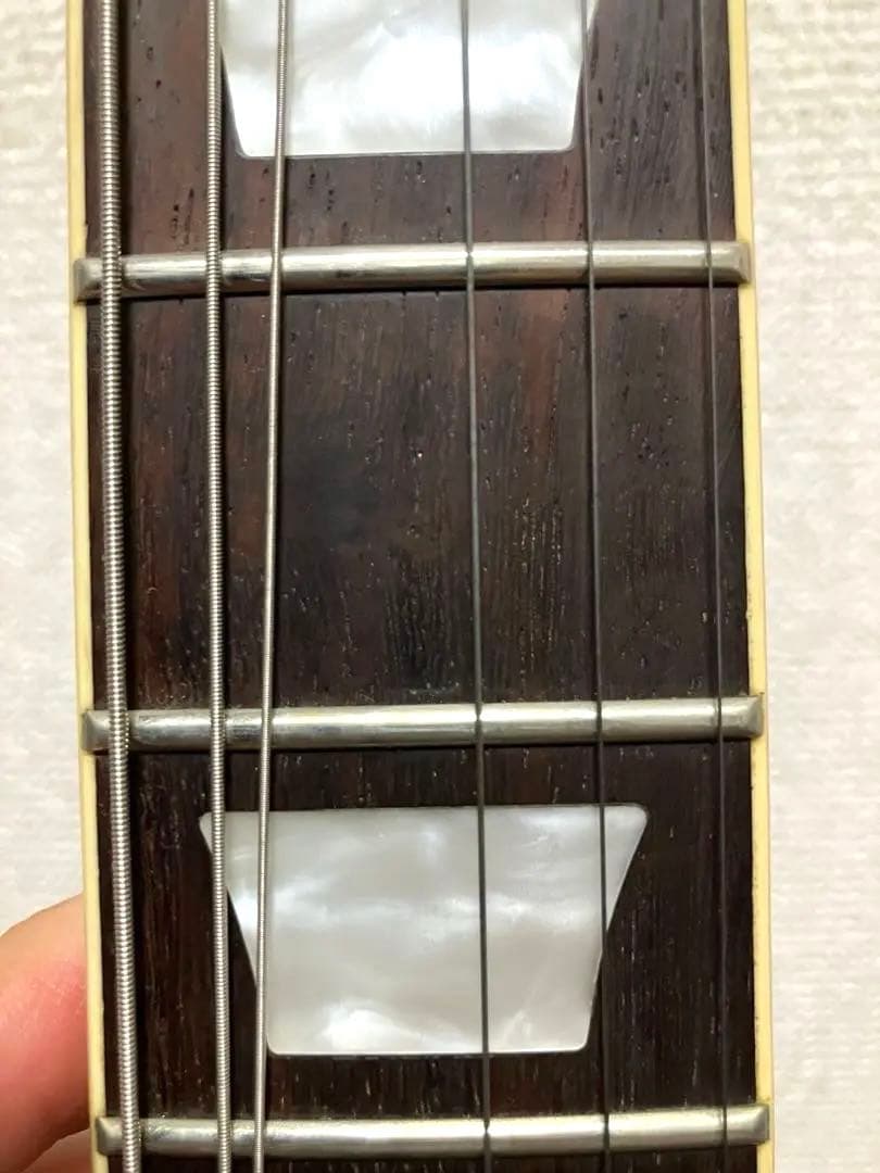 Epiphone Les Paul Standard 50s トレモロアーム付