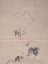 【模写】掛軸　酒井抱一　団扇に朝顔図　夏の風情　季節の掛け物　合箱入　S182