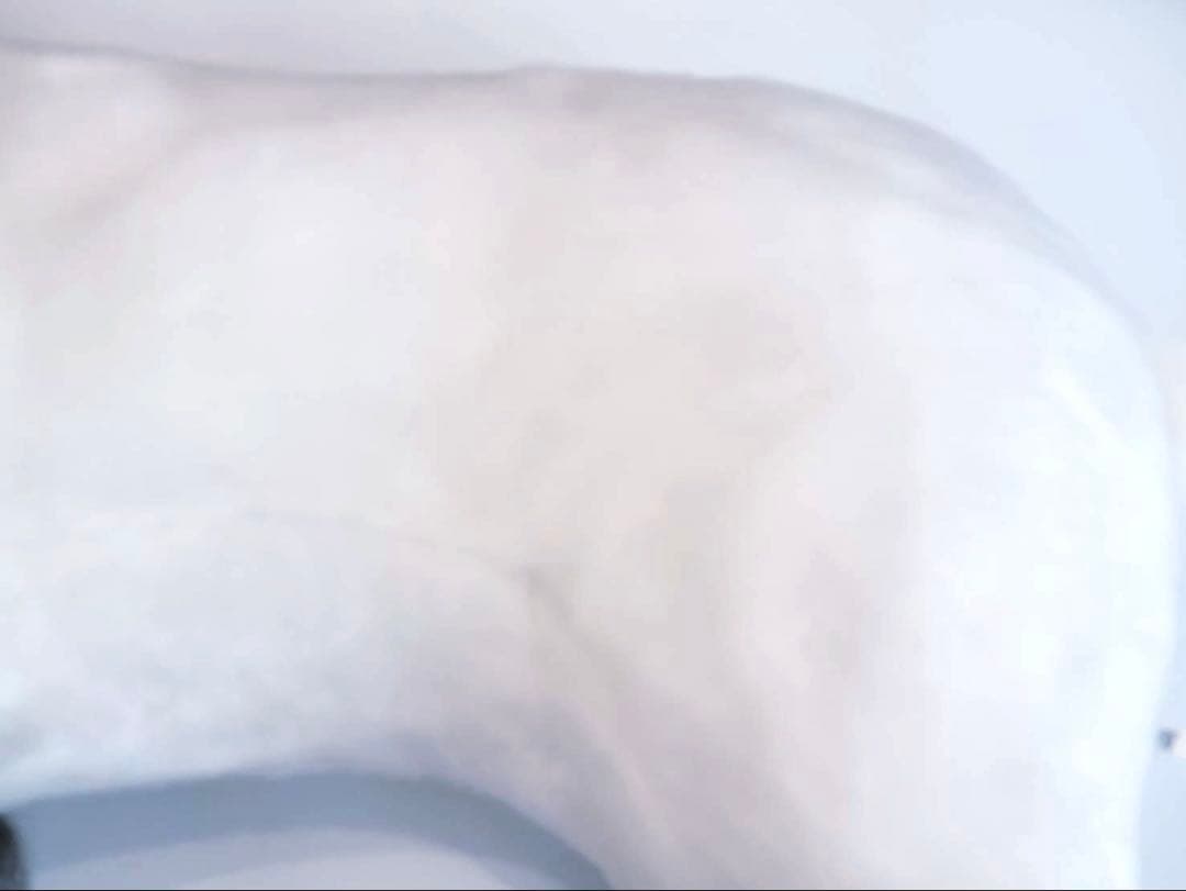 アルプスの少女ハイジ展　等身大　ユキちゃん　ぬいぐるみ　希少品