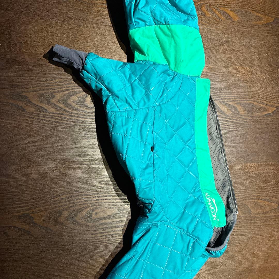 ALPHAICON ドックガードエア1L