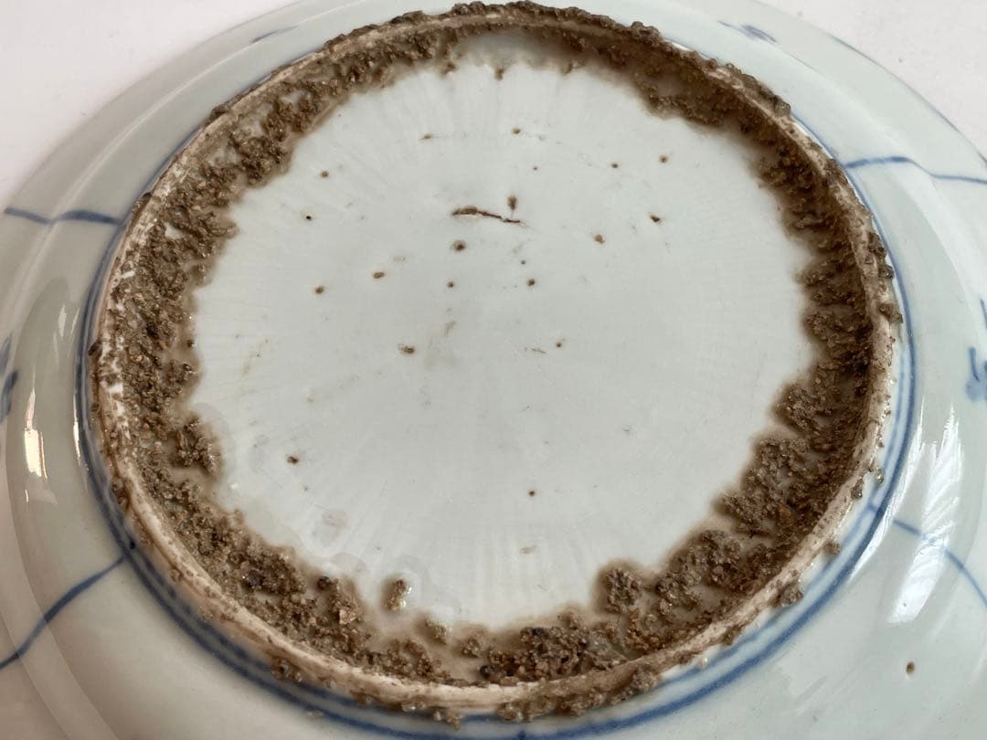 骨董　アンティーク　古染付　芙蓉手　双鹿図　皿　七寸皿