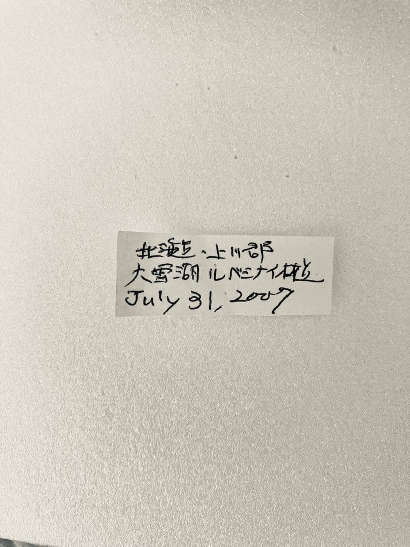 【大型85mm】オオイチモンジ（1ペア・北海道産）