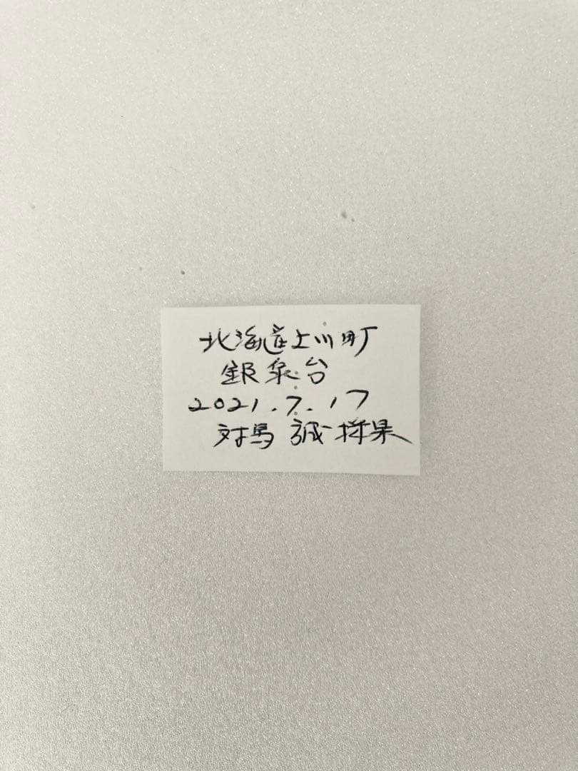 【大型85mm】オオイチモンジ（1ペア・北海道産）