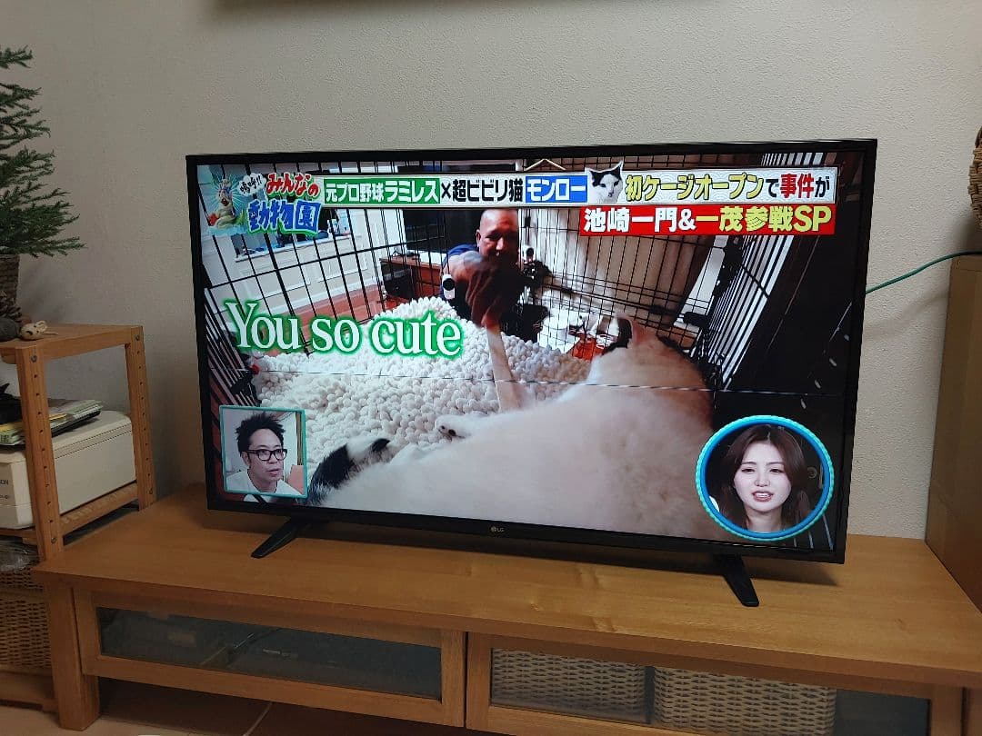 値下げ　ジャンク品　LG 43V型 4K液晶スマートテレビ　Wチューナー