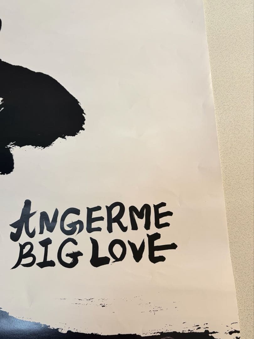 【2枚セット】【全員直筆サイン】　アンジュルム ポスター