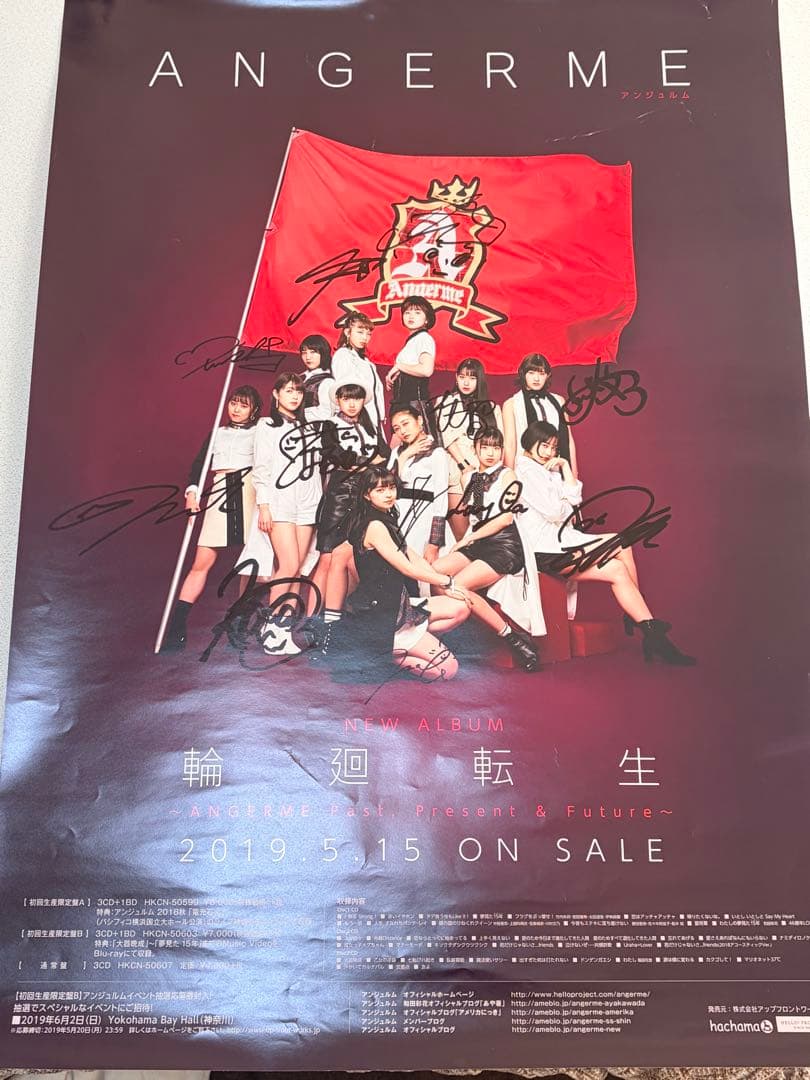 【2枚セット】【全員直筆サイン】　アンジュルム ポスター
