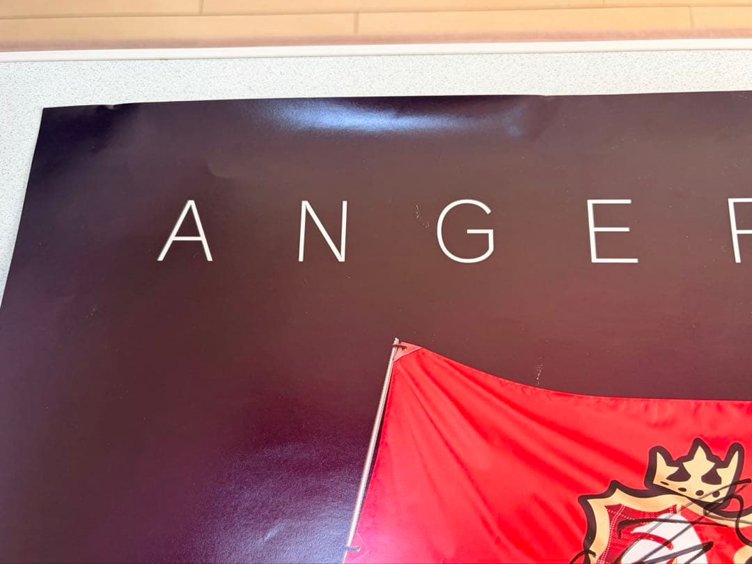 【2枚セット】【全員直筆サイン】　アンジュルム ポスター