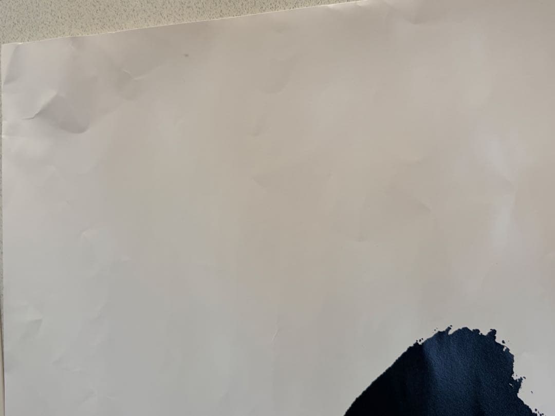 【2枚セット】【全員直筆サイン】　アンジュルム ポスター