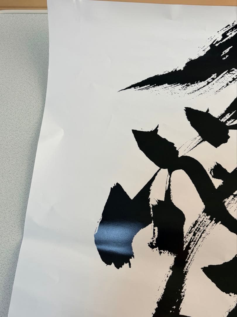 【2枚セット】【全員直筆サイン】　アンジュルム ポスター