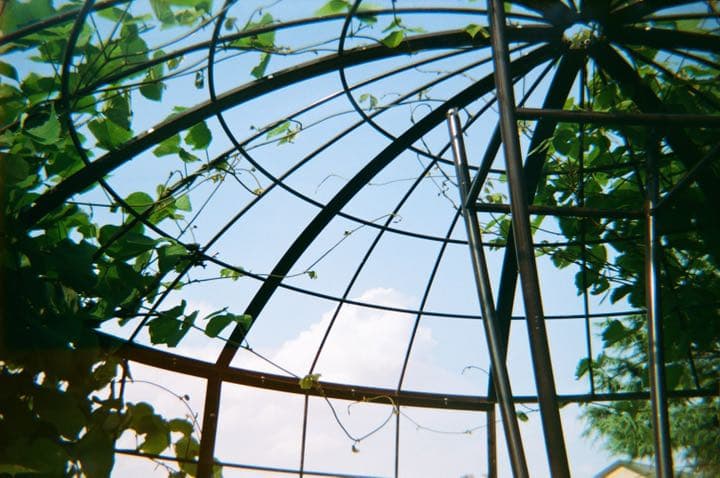 完動品　ミッキーマウス　フィルムカメラ