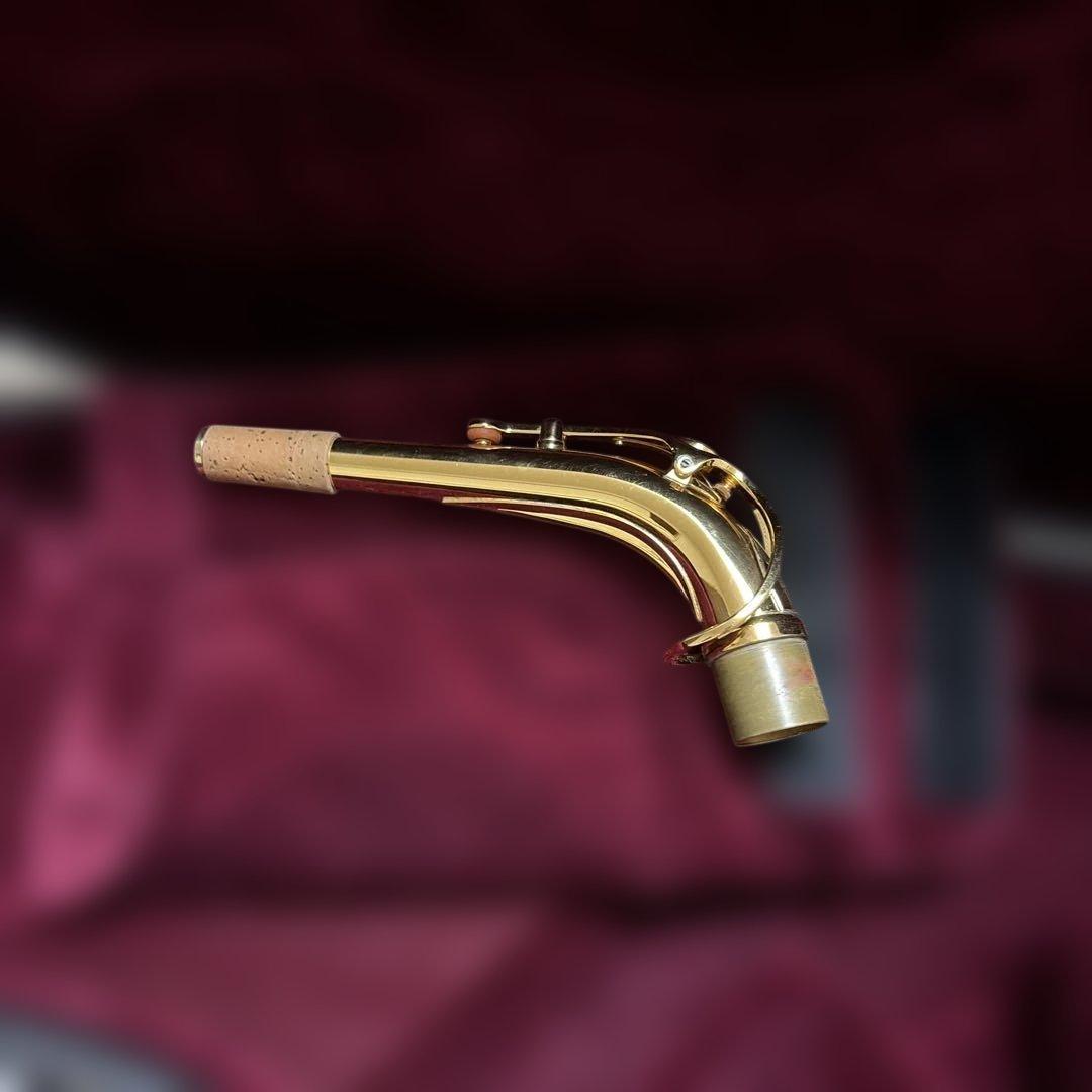 サックスケース 青 ワインレッド内装