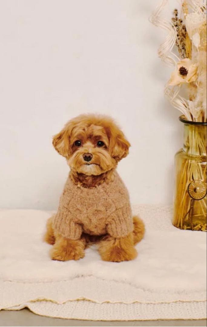 【最終価格】ケーブルドロップショルダーニット　　＊オマケ付き