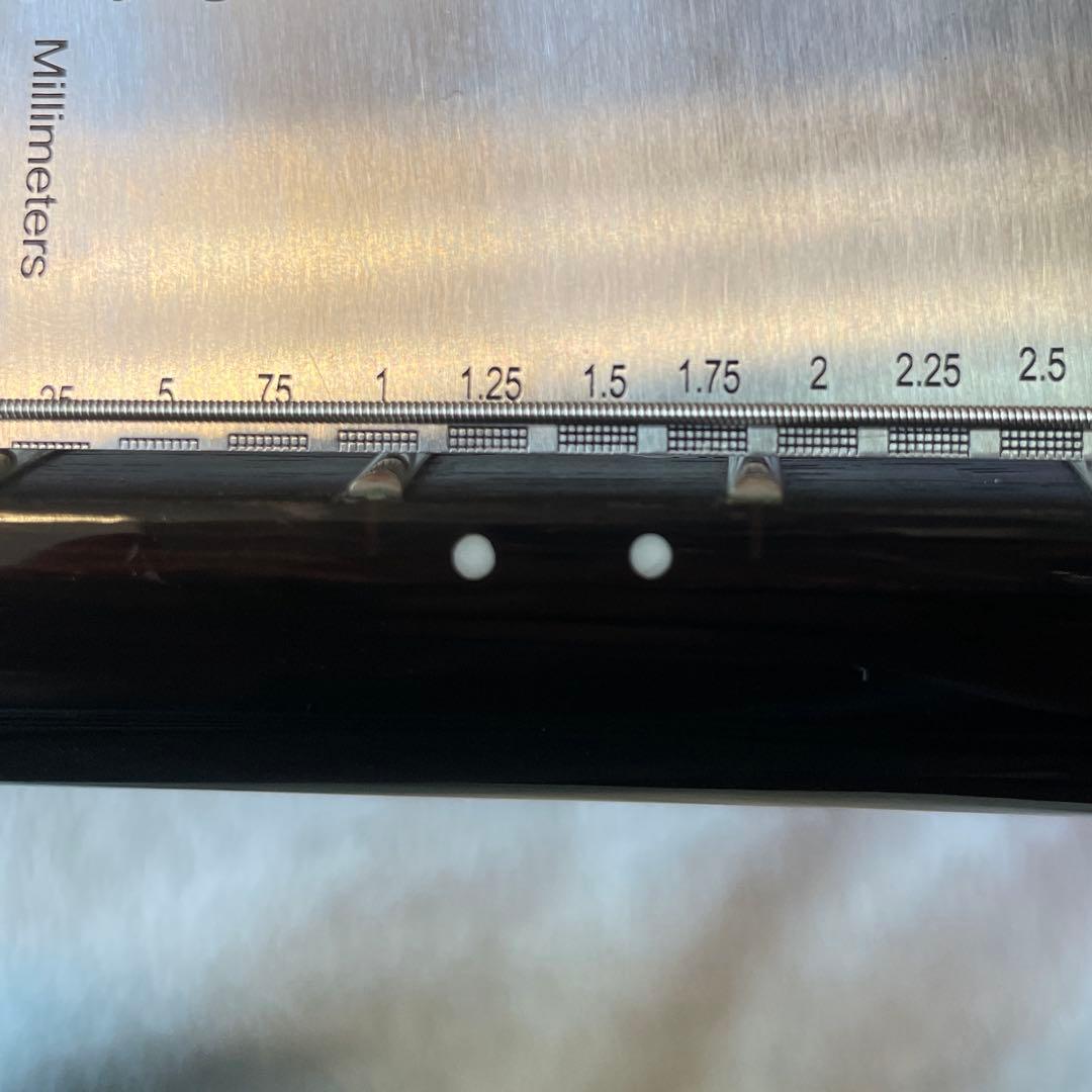 PRS SE Custom22, Skel-zoアンプセット