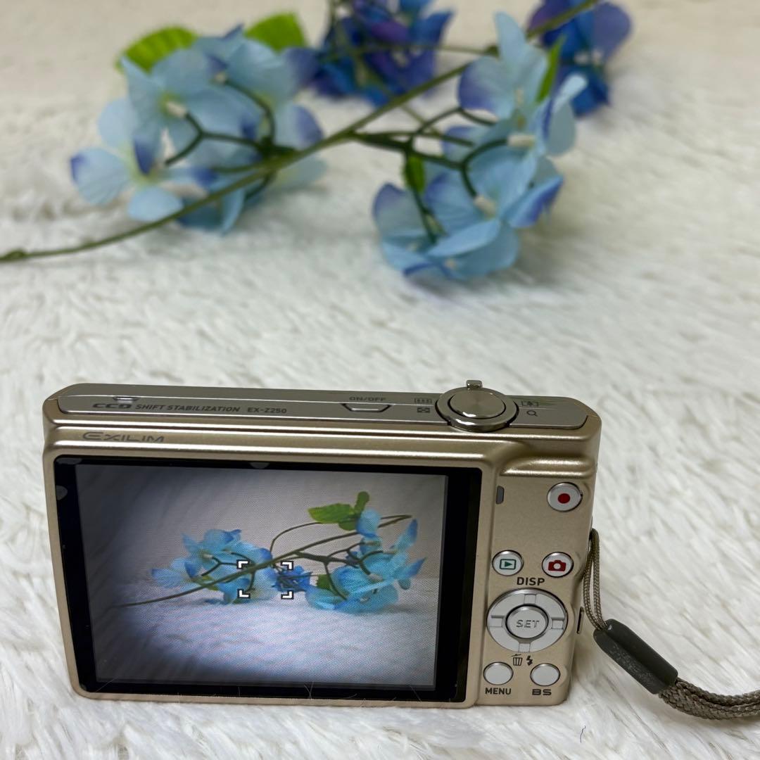CASIO カメラ　EX-Z250 充電器　説明書　ゴールド　 コンデジ　動作品