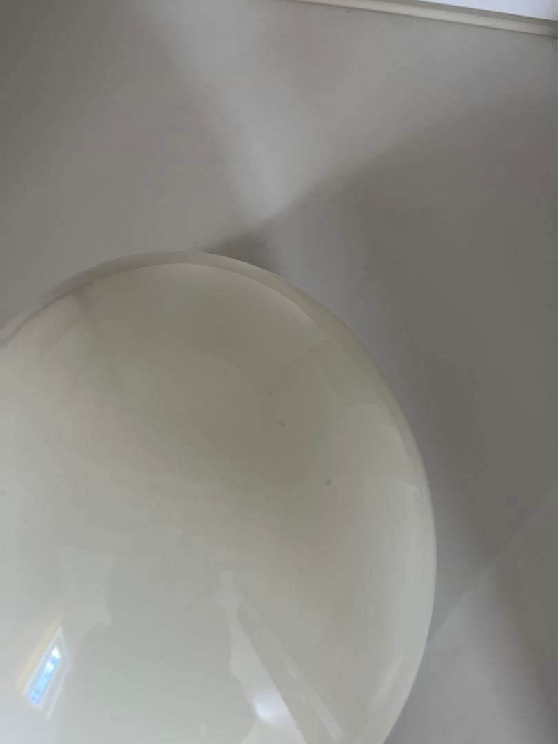 オーシャンビートル　ショーティー4