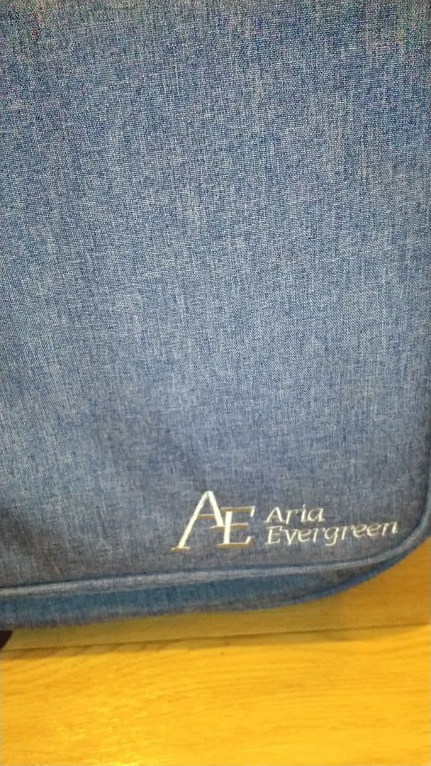 早い者勝ち！！テレキャスター ナッシュビルテレキャスター・アリアプロ2