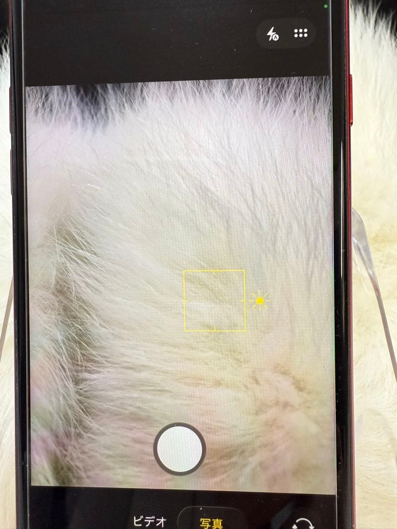 iPhone SE 第3世代 128GB レッドSIMフリー 箱付き「美品」