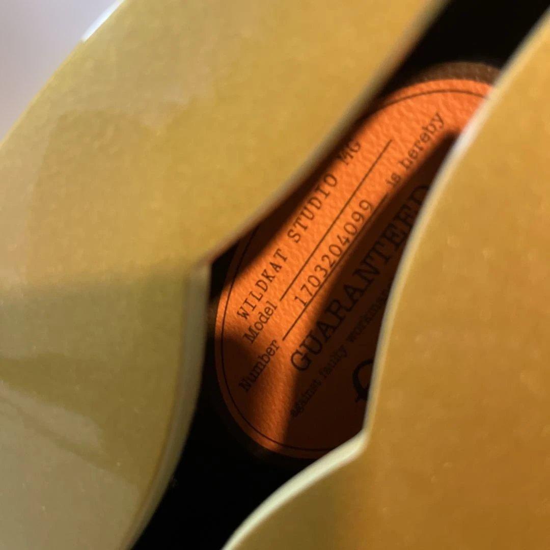 Epiphone Wildkat STUDIO 2017 エピフォン セミアコ