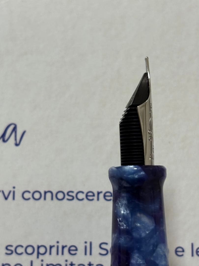 アウロラ 高級万年筆 バイアディナポリ F