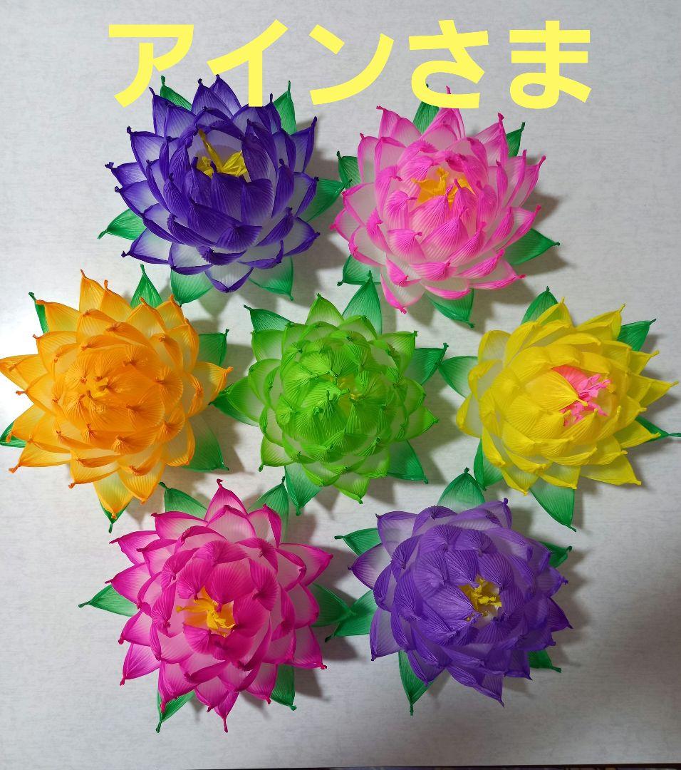 アインさま専用