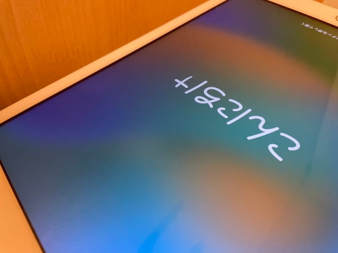 Apple iPad (第5世代) 32GB ゴールド 2017年製 ケースつき