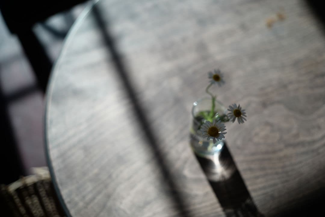 最終値下 summicron F2/50㎜ 第3世代 ドイツ leica