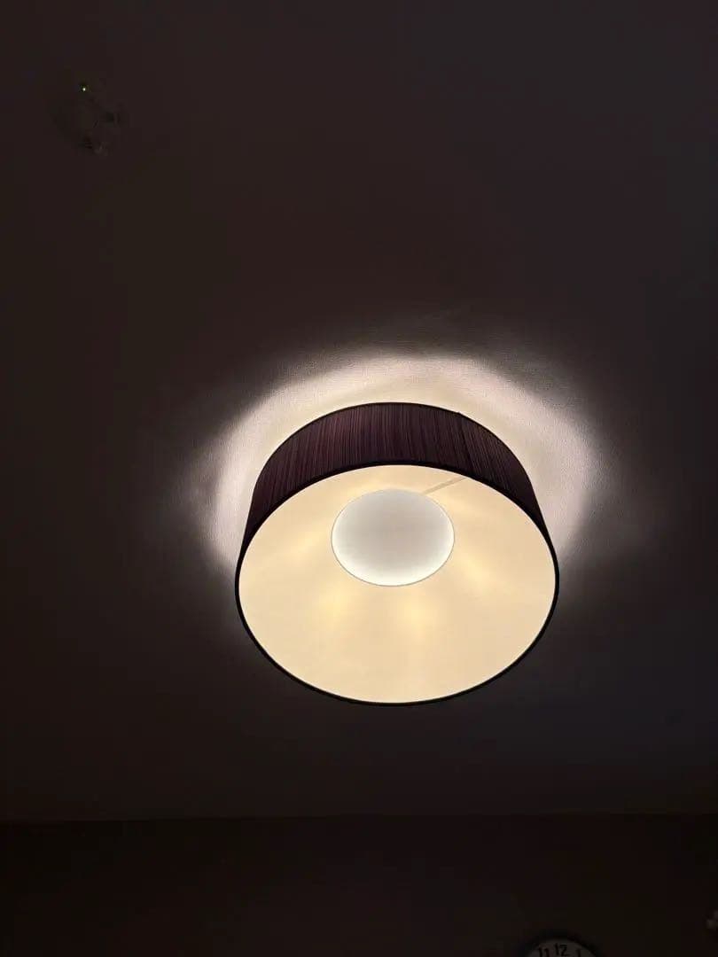 YAMAGIWA BAUMN シーリングライト　ヤマギワ