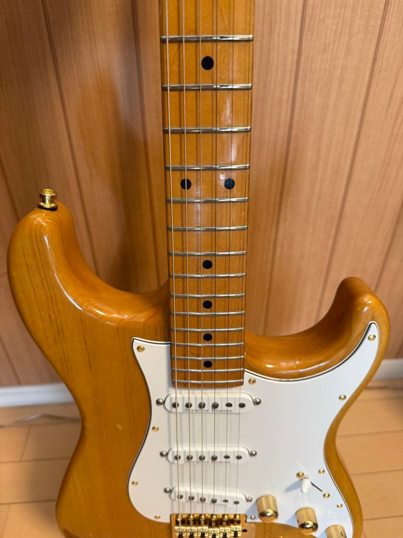 ギター Momose MC2-STD/M NA MOD GOLD VSVG SSL-1