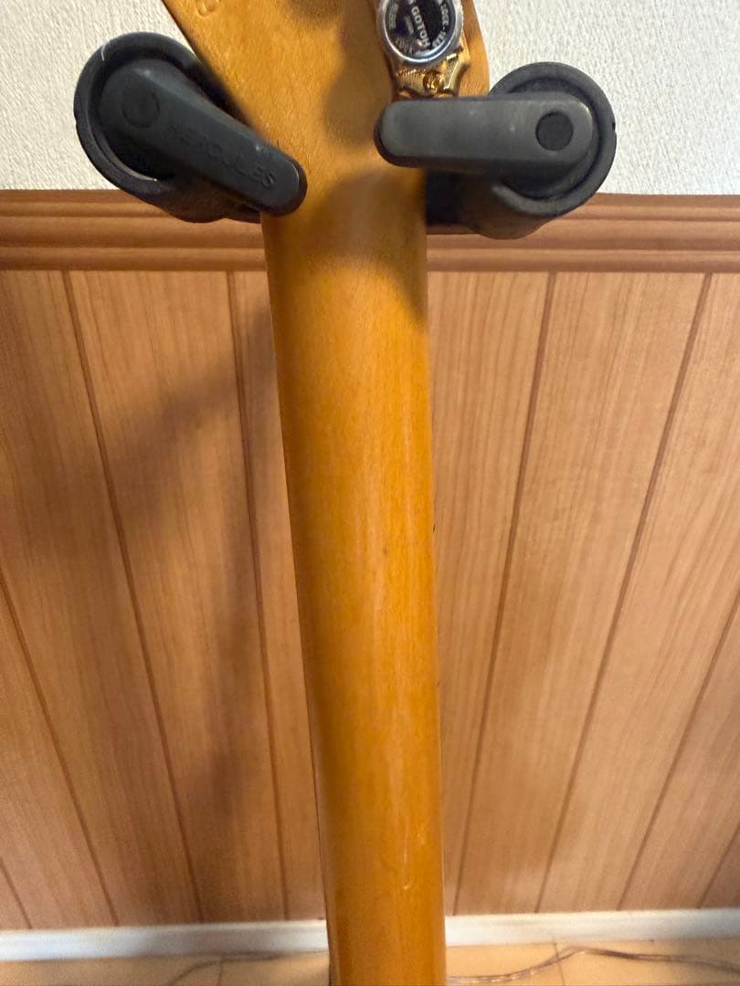 ギター Momose MC2-STD/M NA MOD GOLD VSVG SSL-1